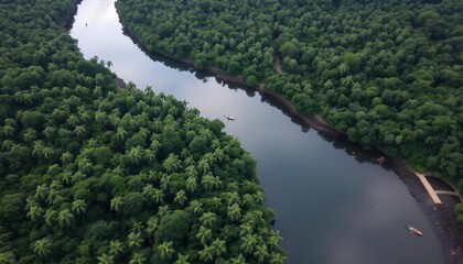 Aerial View of Serene River Winding Through Lush Green Forest