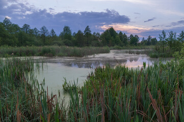 spring foggy morning on the lake