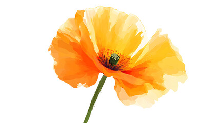 Orange poppy flower, vector illustration
