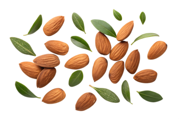 almonds nuts with leaves backgro isolated on transparent background png