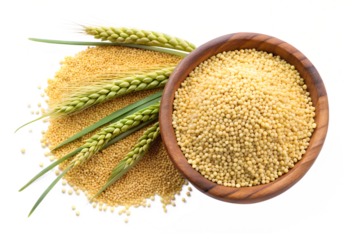 millet in wooden bowl with green spikelets isolate isolated on transparent background png