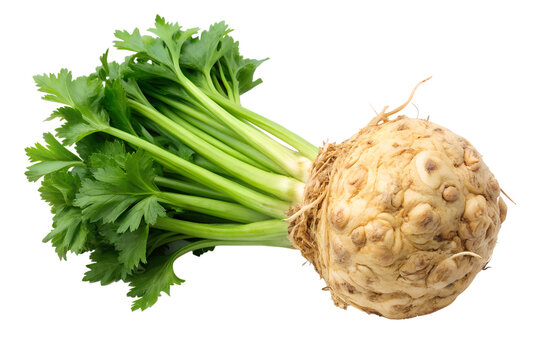 fresh celery root to isolated on transparent background png