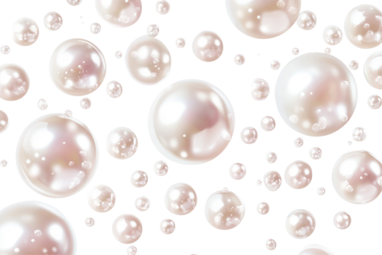 high quality  freshwater pearls on transparent background