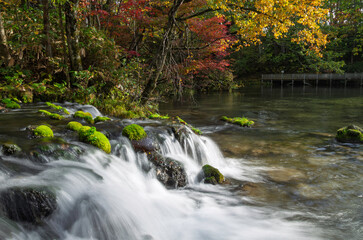 秋の吹き出し公園の滝と紅葉