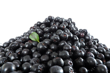 A heap of fresh aronia berries decorated with a green leaf, white background
