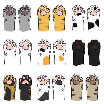 毛色いろいろなネコの肉球セット