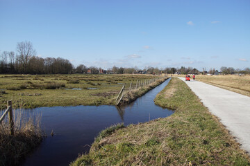 Fototapeta premium Pasture landscape, North Holland. Ditch with a thin layer of ice. Cycle path and meadows with common rush, water puddles. Village of Bergen. Netherlands, February 