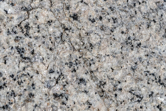 Woodson Mountain Granodiorite (Cretaceous) / igneous rock. San Diego County, California Geology. Granodiorite is a coarse-grained (phaneritic) intrusive igneous rock. 
