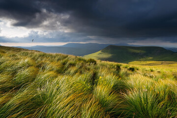 Obraz premium Dramatic Landscape with Grassy Hills Under Stormy Skies