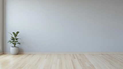 Minimalist plant in light room