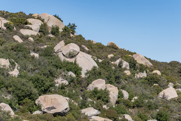  Woodson Mountain Granodiorite (Cretaceous) / igneous rock. San Diego County, California Geology. Granodiorite is a coarse-grained (phaneritic) intrusive igneous rock. © youli zhao