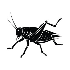 Crickets silhouette isolated on white background