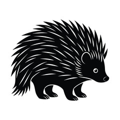 Porcupine silhouette isolated on white background