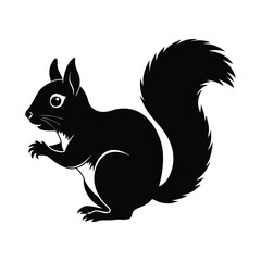 Squirrel silhouette isolated on white background