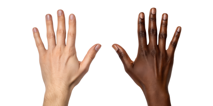 Two Different Style Pair of Human Hands Showing Racial Unity, Unity Concept, Hands Symbolizing Diversity, PNG Transparent