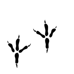Eagle Footprint Vector 