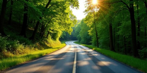Obraz premium Sunlit asphalt road curving through a vibrant green forest canopy, bathed in the golden hour light