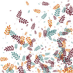 Green Plant Background White Vector. Foliage September Illustration. Golden Leaves. Yellow Herb Fly. Silhouette Frame.