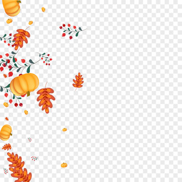 Yellow Leaves Background Transparent Vector. Orange Picking Texture. Red Pumpkin Fall Banner. Plant Season. Happy Frame.
