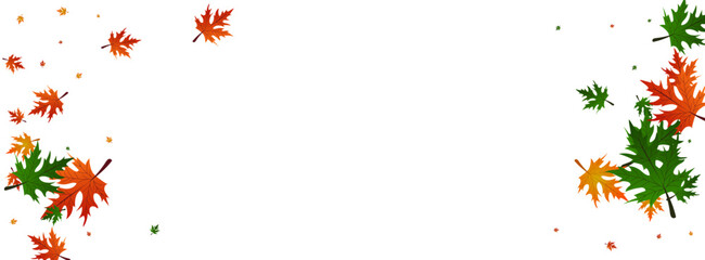Ocher Leaves Background White Vector. Plant Nature Texture. Yellow Season. Seasonal Design. Red Foliage Canadian.