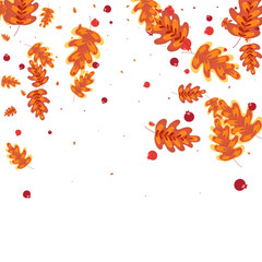 Orange Plant Background White Vector. Oak Gradation Design. Golden Leaves. Backdrop Texture. Red Leaf Decorative.