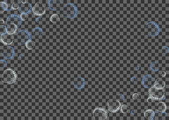 Ultramarine Oyster Background Transparent Vector. Clam Whimsical Graphic. Isolated Pattern. Navy Snail Watercolor Illustration.
