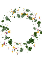 Light Green Plant Background White Vector. Palm Beauty Frame. Green Hibiscus. Vivid Card. Red Color Backdrop.