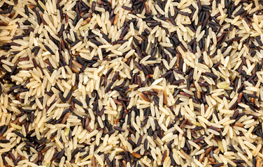 Close-up of uncooked brown rice mixed with healthy riceberry for use as a background.