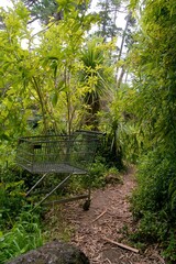 Abandoned Shopping Cart in the Wild Bush – Urban Relic Overtaken by Nature