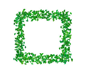 緑の葉っぱの四角フレーム　春　新緑