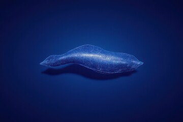 Minimalist Fang with Serenity