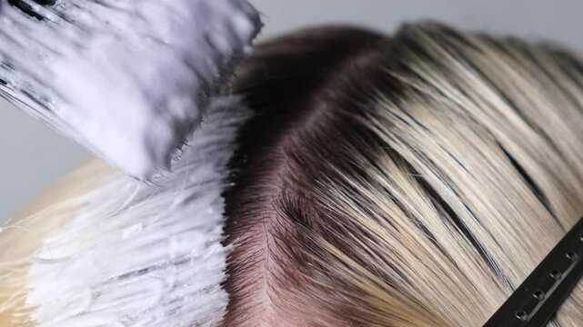 Applying paint to lighten or bleach with a brush on the regrown roots of blond hair, close-up