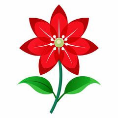 Vibrant red poinsettia flower graphic design