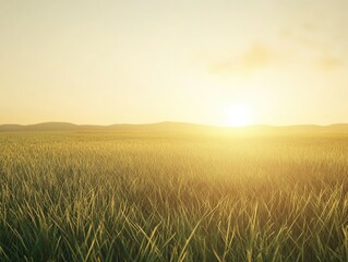 Obraz premium Golden hour illuminates a serene grassland landscape, full of peace