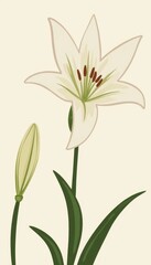 Obraz premium Elegant white lily blossom illustration on light background, purity