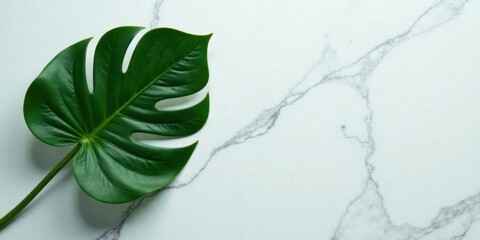 Obraz premium A vibrant green tropical leaf rests elegantly on a smooth, cool marble surface, creating a striking contrast of texture and color.