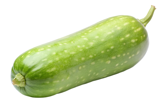 Fresh bottle gourd isolated on white background - A whole fresh bottle gourd, also known as calabash or lauki, with a green speckled skin, isolated on a white background.  
