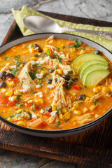 Creamy Chicken Enchilada Soup is packed with Tex-Mex flavors closeup on the plate on the table. Vertical