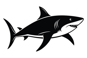 Obraz premium Great Shark vector on Isolated Background