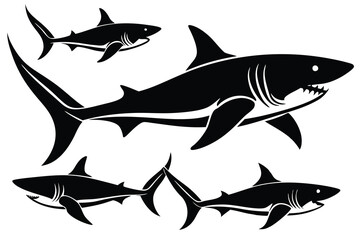 Obraz premium collection shark vector silhouette