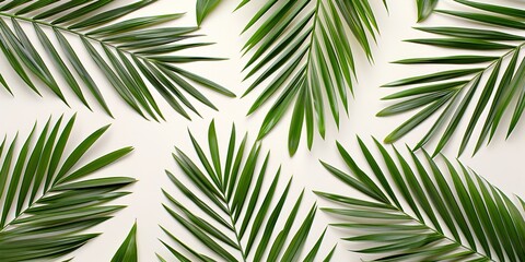 Tropical background Palm leaves Bright sunny colors Copy space Minimalistic 