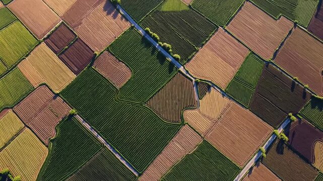 Warm sunlight flooding patchwork agricultural fields, narrow roads intersecting verdant landscape, creating mesmerizing geometric patterns from aerial perspective