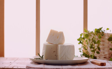 Caciotta Tuscan italian fresh delicate cheese on white  plate.