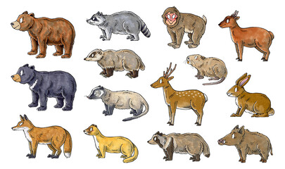 害獣セット(ヒグマ、ツキノワグマ、キツネ、アライグマ、アナグマ、ハクビシン、イタチ、サル、ヌートリア、シカ、タヌキ、キョン、ウサギ、イノシシ)