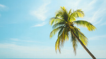 Vibrant green palm tree leaning gracefully against clear blue tropical sky in idyllic beach paradise