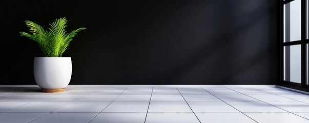 Plant in a White Pot Stands Gracefully Against a Dark Wall  with Sunlight Streaming In