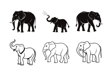 Obraz premium wild Elephant collection