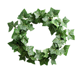 Fototapeta premium Beautiful green ivy wreath for home decor and seasonal celebrations, ideal for front doors or wall accents to enhance natural aesthetics, cut out