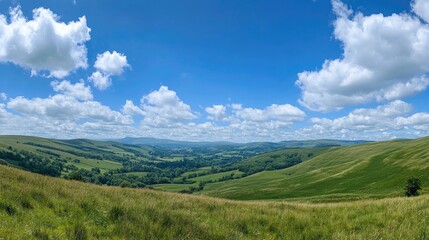Obraz premium A peaceful panoramic view of rolling green hills under a bright blue sky, with soft white clouds enhancing the calming simplicity