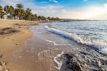 Side low view of surf line on beach with palm trees and yellow sand on sunny morning. Late December. Mediterranean, Ayia Napa, Cyprus